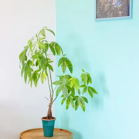 Lägenhet Marescala Vacation - Casa Vesuvia